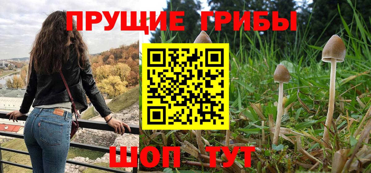 что такое наркотик  Галлюциногенные грибы Cubensis  Вход с VPN  Электросталь 